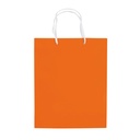 Paper bag medium